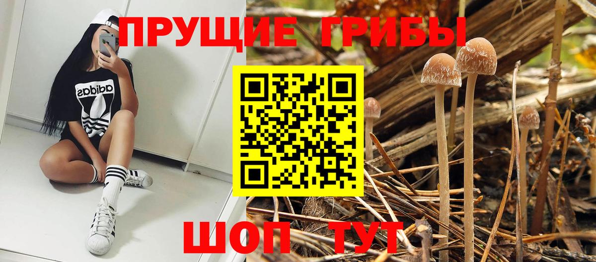 Галлюциногенные грибы GOLDEN TEACHER  Галлюциногенные грибы GOLDEN TEACHER  Вход с VPN  Россошь 