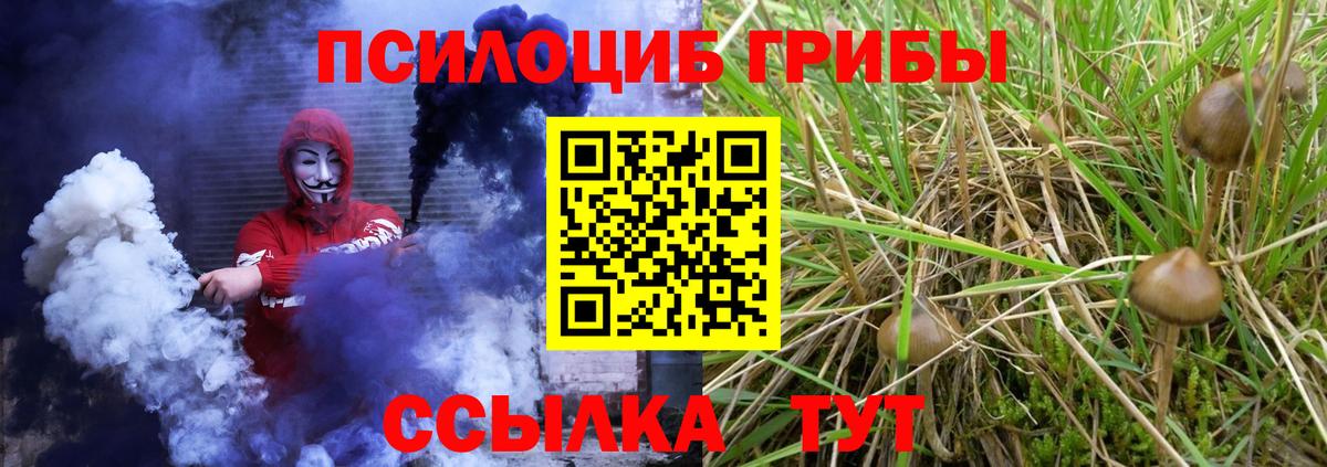 Псилоцибиновые грибы Magic Shrooms Россошь